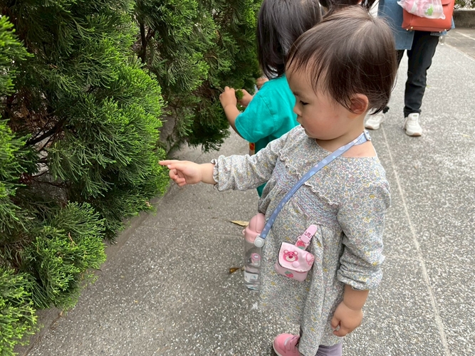 摸摸葉子