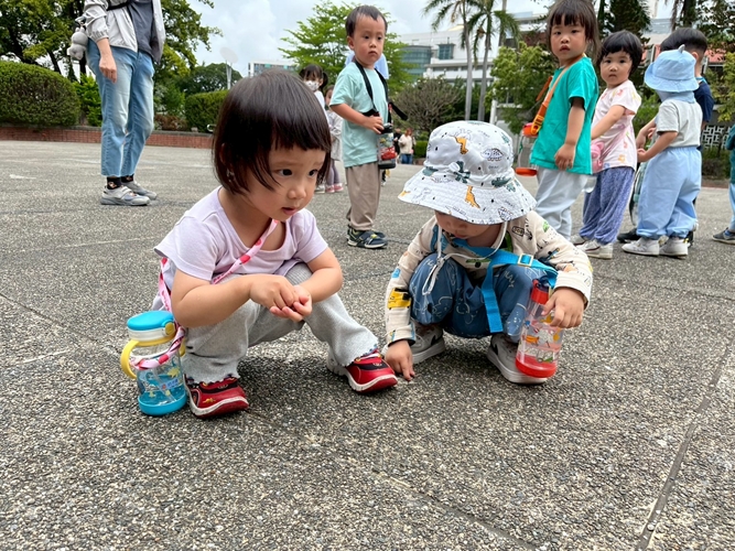 憶起蒐集地板上的小石頭